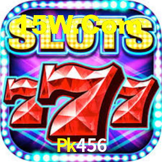 Pk456 App Interface