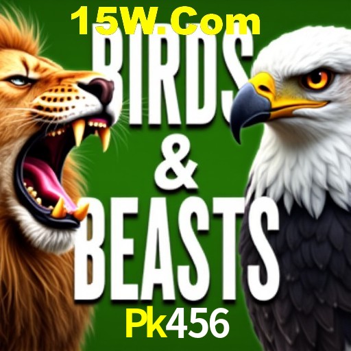 Descubra o Programa VIP da Pk456: Vantagens Exclusivas para Jogadores