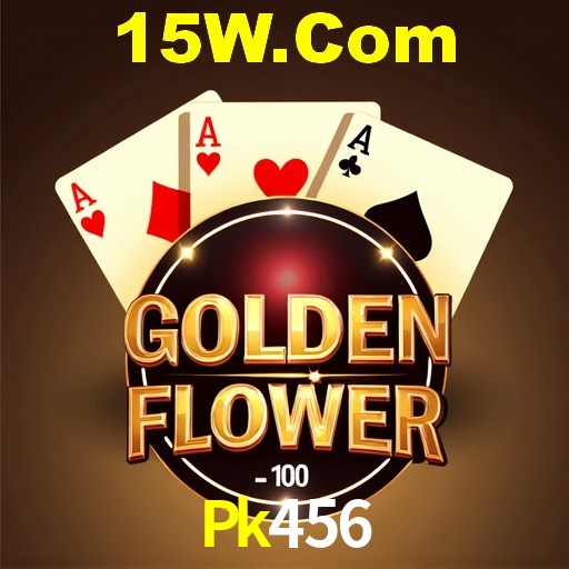 Interface do App Pk456