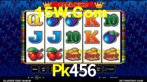 Daily Bonuses Pk456