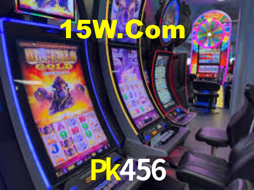 VIP Casino Pk456